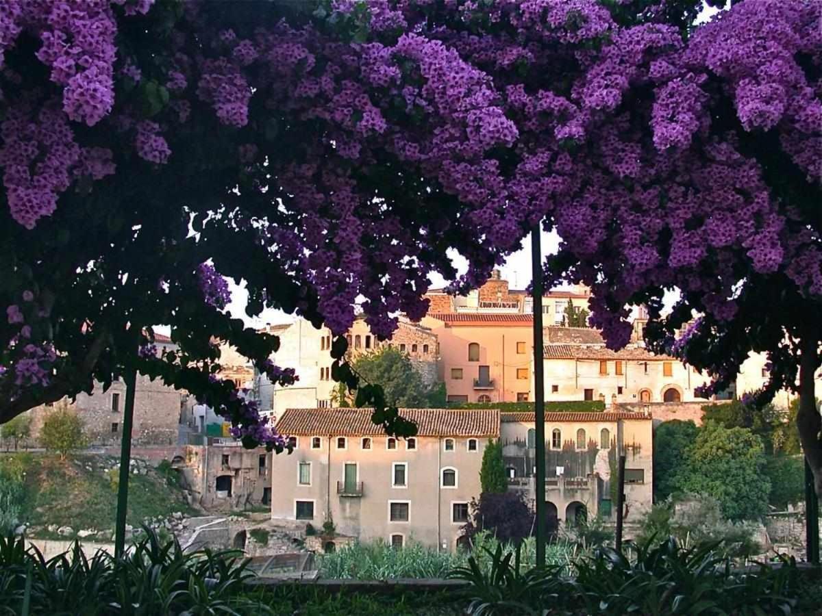 Hotel Rural Hd Riudebitlles Art I Allotjament Sant Pere de Riudebitlles Exterior foto